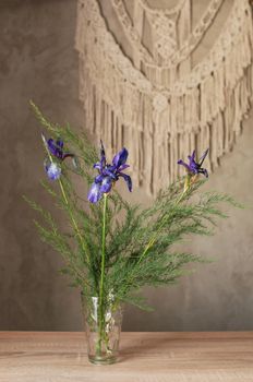 bouquet of wild-growing field plants on the background of a concrete wall with macrame