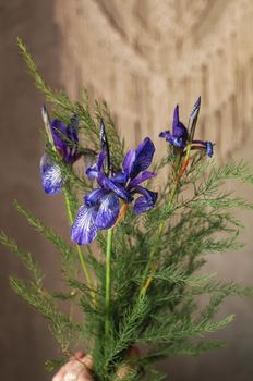 bouquet of wild-growing field plants on the background of a concrete wall with macrame