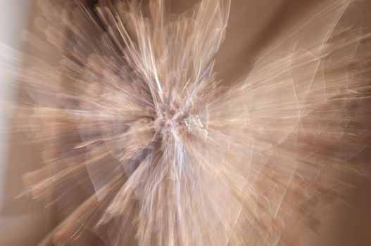 abstract long exposure beige flower bouquet on brown background