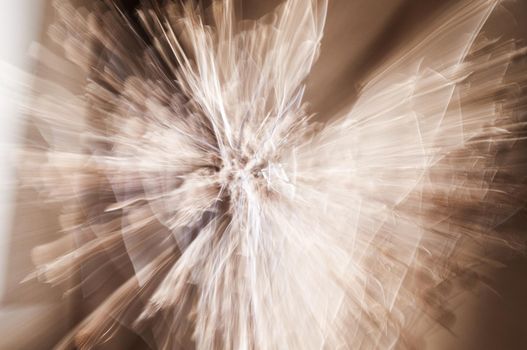 abstract long exposure beige flower bouquet on brown background