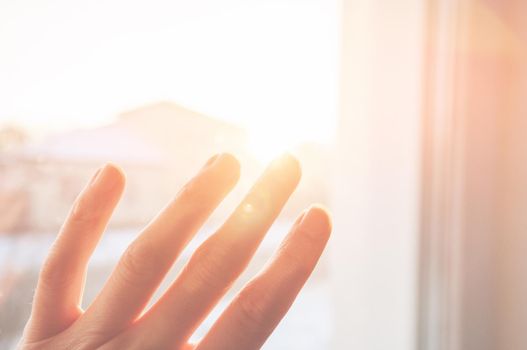 female hand with fingers spread out into light in the rays of the golden sun