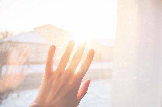 female hand with fingers spread out into light in the rays of the golden sun