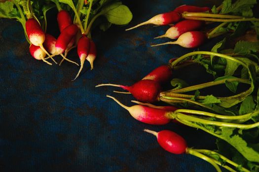 radish on a blue background laid out in groups