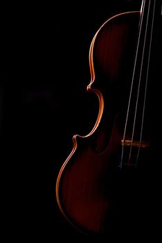 Violin music instrument of orchestra closeup isolated on black