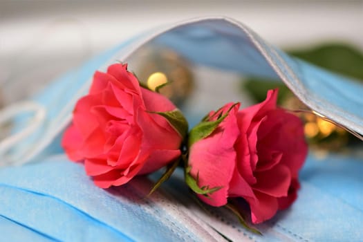 Two pink roses between surgical masks