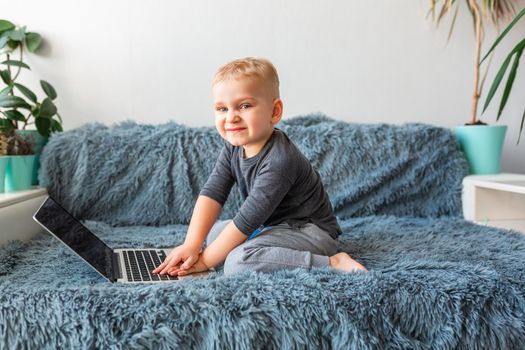 Little baby boy playing on laptop on sofa at home. E-learning, distance studying, distance communication concept