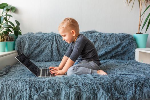 Little baby boy playing on laptop on sofa at home. E-learning, distance studying, distance communication concept