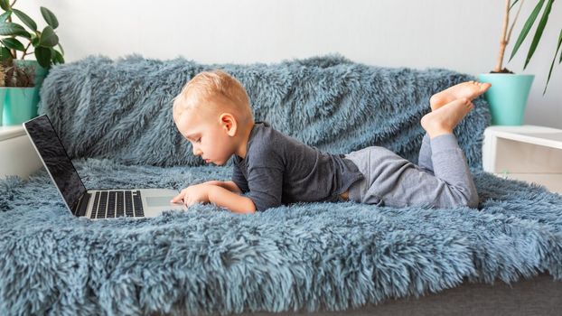 Little baby boy playing on laptop lying on sofa at home. E-learning, distance studying, distance communication concept