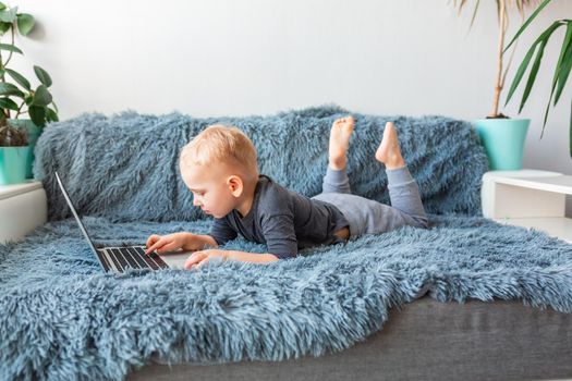 Little baby boy playing on laptop lying on sofa at home. E-learning, distance studying, distance communication concept