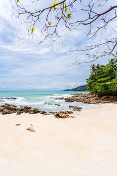 Summer holiday and vacation background concept of beautiful leaves frame trees on tropical beach in summer season