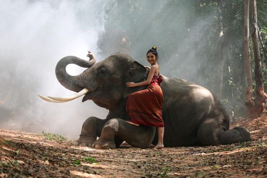 Thailand Countryside; Silhouette elephant on the background of sunset, elephant Thai in Surin Thailand.