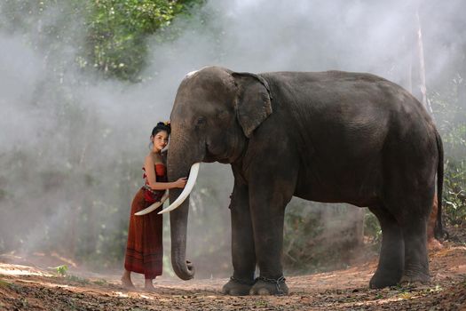 Thailand Countryside; Silhouette elephant on the background of sunset, elephant Thai in Surin Thailand.