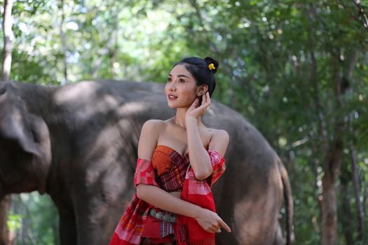 Thailand Countryside; Silhouette elephant on the background of sunset, elephant Thai in Surin Thailand.