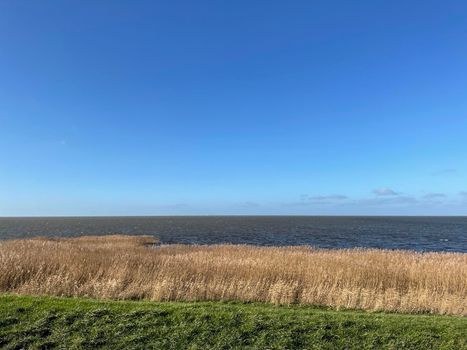 IJsselmeer around Gaast in Friesland, The Netherlands