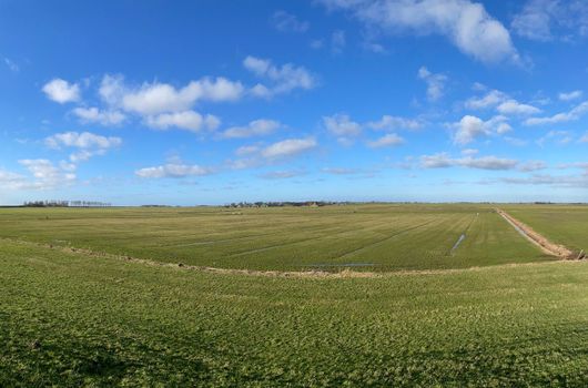 Farmland around Laaksum in Friesland, The Netherlands