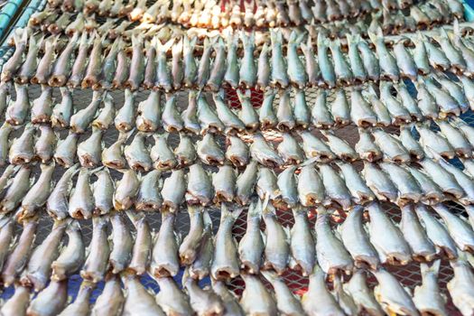 Group of sea fish dried on nets for sale to tourists in the market.