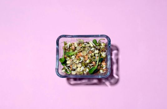 Sprouted seeds of grain crops in a glass container on a pink background