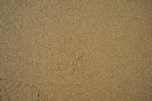 Natural background of yellow quartz sand. design, art, nature