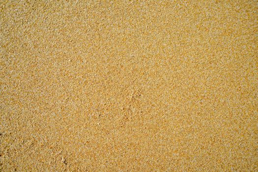 Natural background with yellow sand. design, art, nature