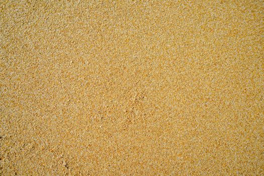 Natural background with yellow sand. design, art, nature