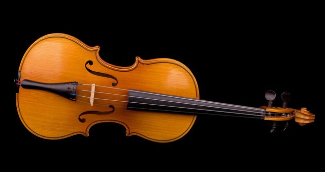 Violin music instrument of orchestra closeup isolated on black