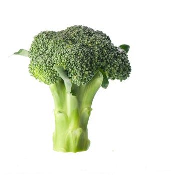 fresh green broccoli isolated on white background.