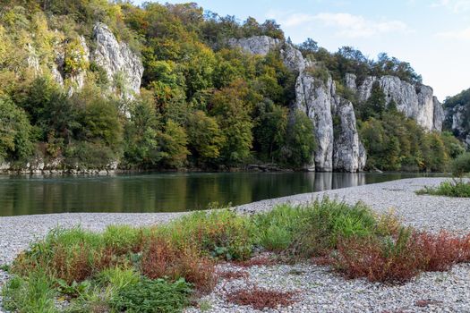 Danube valley at Danube river breakthrough near Kelheim, Bavaria, Germany in autumn with gravel bank and plants with red leaves in foreground and limestone formations in the background
