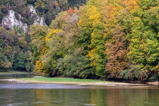 Danube valley at Danube breakthrough near Kelheim, Bavaria, Germany in autumn with trees with red, yellow and green leaves i