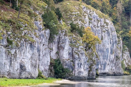 Danube river at Danube breakthrough near Kelheim, Bavaria, Germany in autumn with limestone rock formations and plants with colorful leaves