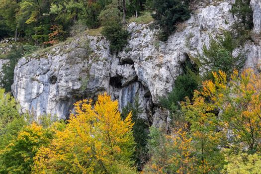 Rock formations and autumnal plants with colorful leaves at Danube breakthrough near Kelheim, Bavaria, Germany