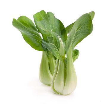 Bok choy vegetable on white background