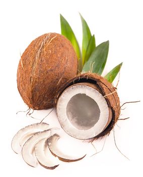 Coconuts with leaves on a white background.