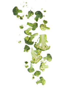 Broccoli pattern isolated on a white background. Various multiple parts of broccoli flower. Top view.