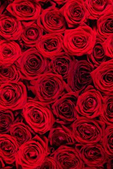 A lot of red roses background, Valentines day gift concept