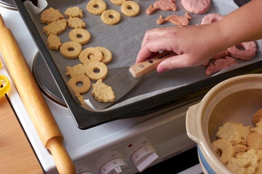 Cutting cookies from the dough and preparing for bake in the electrical stowe