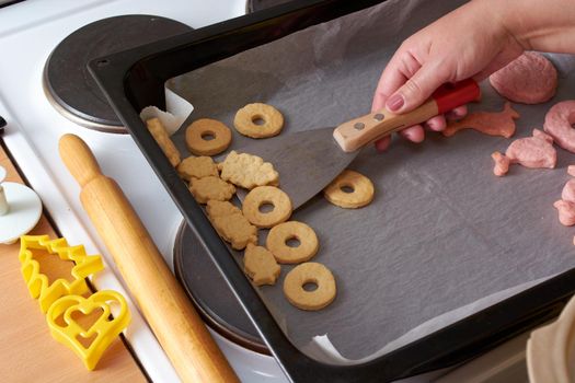 Cutting cookies from the dough and preparing for bake in the electrical stowe