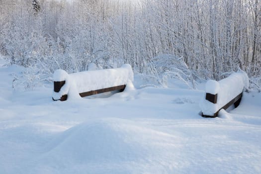 White winter forest during a snowfall. Landscape in a city park with a snow path, a bridge over a frozen river against the background of snow bushes. Christmas New Year Scene.