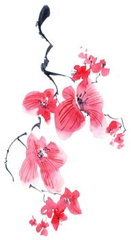 Watercolor and ink illustration of sakura tree branch. Oriental traditional painting in style sumi-e, u-sin and gohua. Background design for greeting card, invitation or cover.