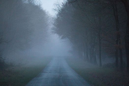 Asphalt road after the rain in the evening on a foggy day