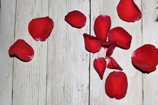 View from above on red rose petals on a textured beige background with copy space