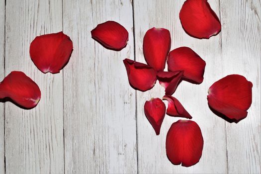 View from above on red rose petals on a textured beige background with copy space