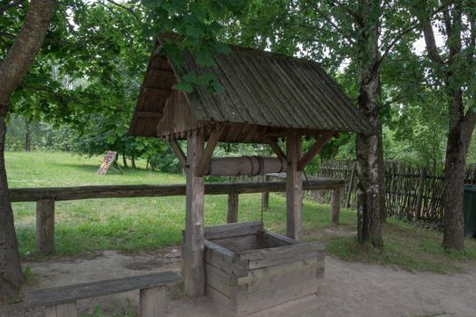 Village well with a water canopy under a birch tree
