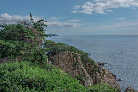 Seascape. Rocky shore with green plants. Stock photo