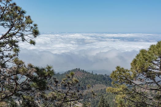 Mountain landscape. View of the clouds from the top of the mountain. Stock photo