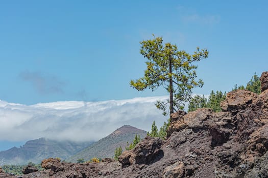 Mountain landscape. View of the clouds from the top of the mountain. Stock photo