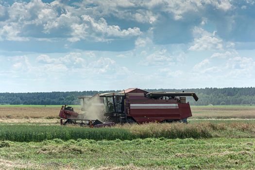 Gomel, Belarus - 07/12/2018: combine harvester in the field harvests grain. Stock photo.