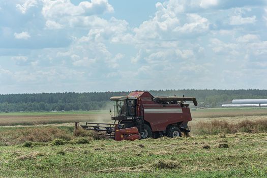 Gomel, Belarus - 07/12/2018: combine harvester in the field harvests grain. Stock photo.