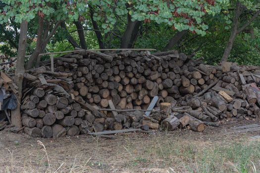 A woodpile is stacked among the trees. Stock photo.