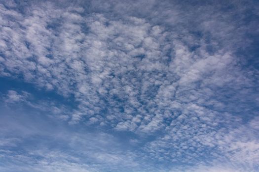 Cirrus clouds in a blue sky. Stock photo for creative design and backgrounds