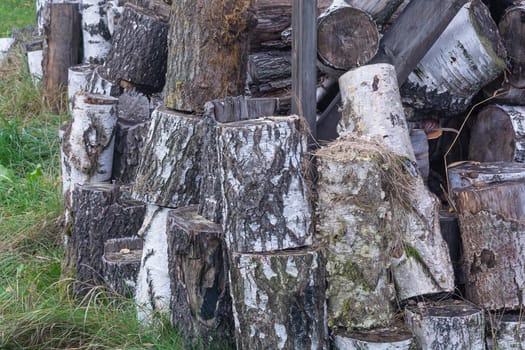 Birch logs are stacked on top of each other on the green grass. Stock photo